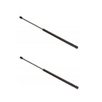 Set 2 amortizoare portbagaj MOTOR10 pentru Skoda Octavia 2 HATCHBACK (1Z3) 106867, 1409100047, Negru